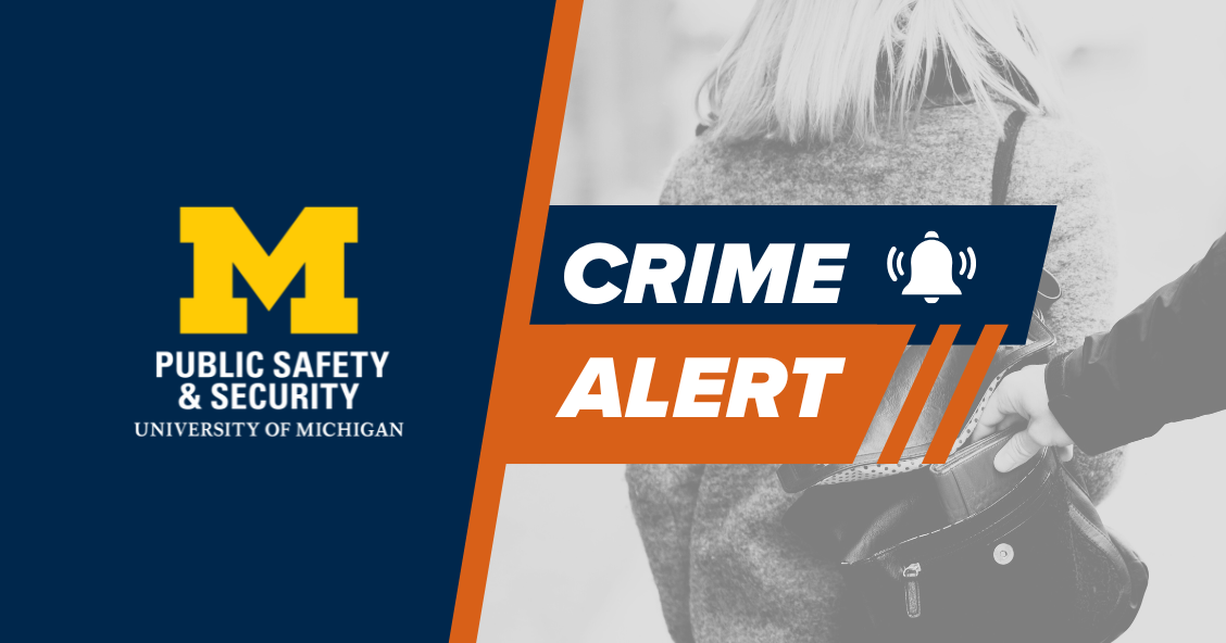 Graphic of someone stealing a wallet from a purse with Crime Alert overlayed.
