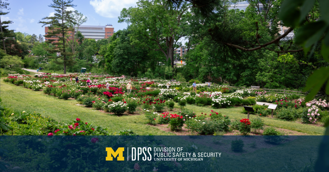 Photo of the peony garden.