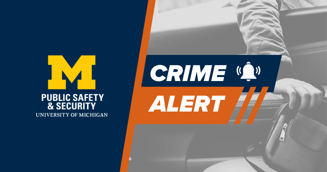 Graphic of a person stealing a purse from a car with Crime Alert overlayed.