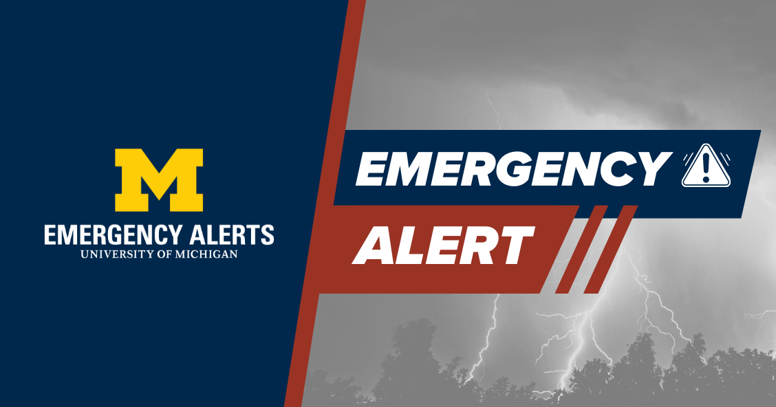 Graphic of a thunderstorm with Emergency Alert overlayed.